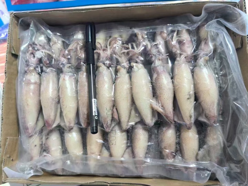 籽乌
