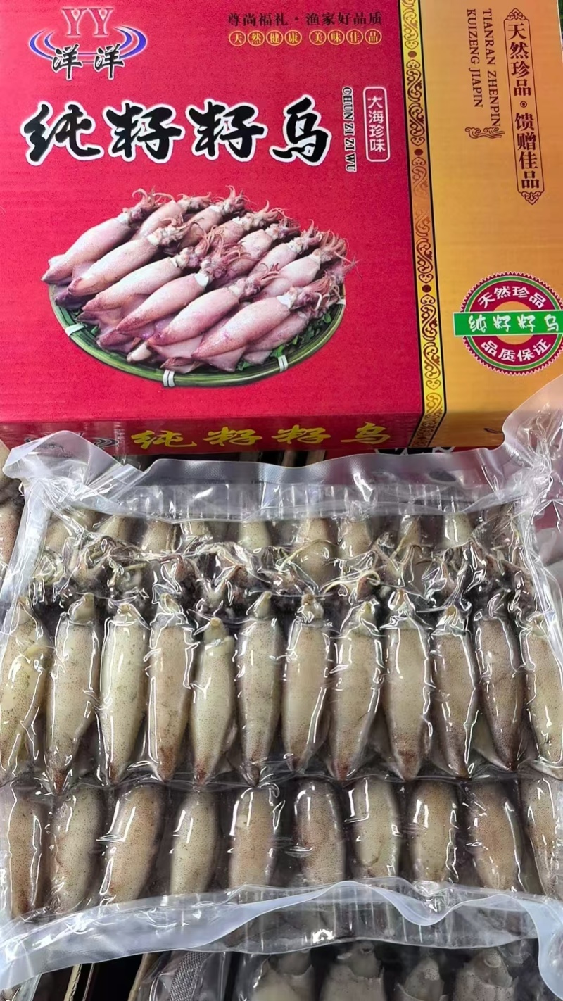 籽乌