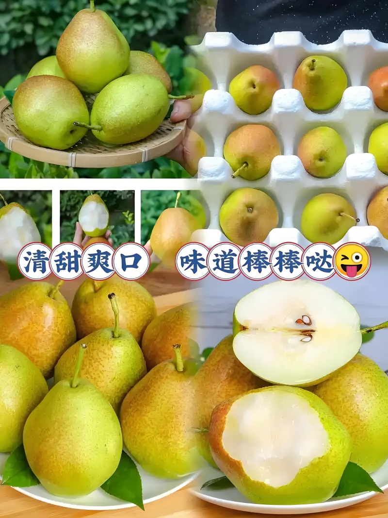 陕西红香酥梨，汁多脆甜，产地直供，一手货源！