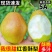 七月红梨，一件代发，多多买菜，社区团购，个个红