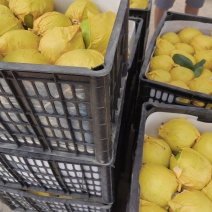 梨