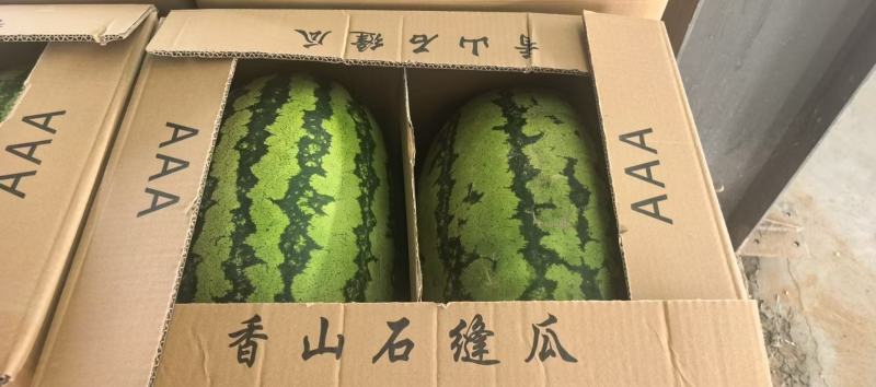 宁夏香山精品石头瓜硒砂瓜产地发货糖度13以上包熟包甜