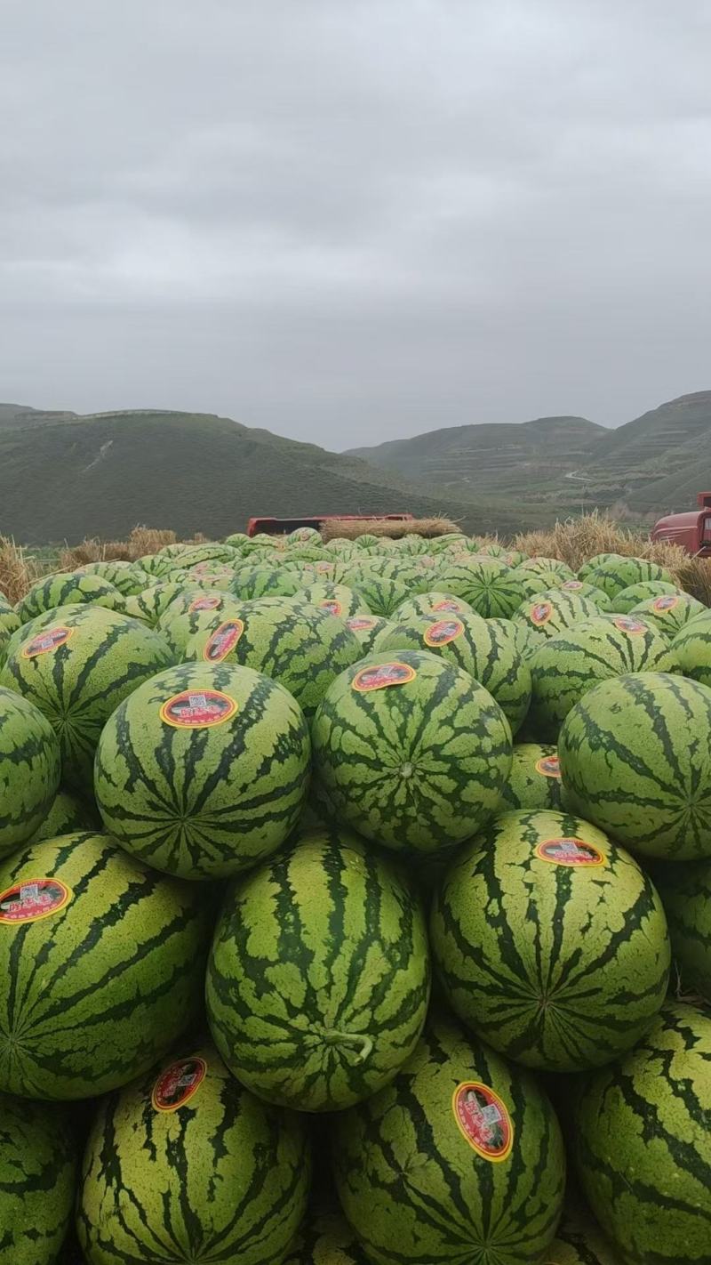 宁夏香山精品石头瓜硒砂瓜产地发货糖度13以上包熟包甜