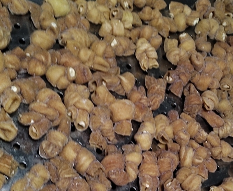 肥肠串卤味烧烤食材一斤一包25根工厂直发货源稳定量大价优