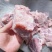 满肉猪叉骨