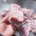 满肉猪叉骨