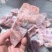 满肉猪叉骨