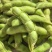 精品毛豆货源充足量大从优质量保证产地供应欢迎咨询