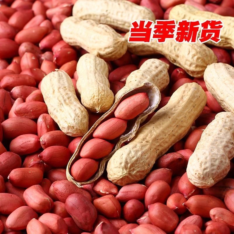 精品花生四粒红花生货源充足量大从优质量保证欢迎咨询