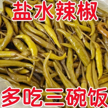 河北邢台杭椒泡椒，腌辣椒，当季新鲜货