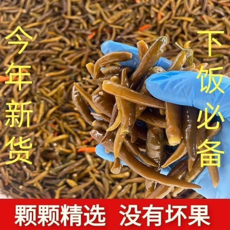 河北邢台杭椒泡椒，腌辣椒，当季新鲜货