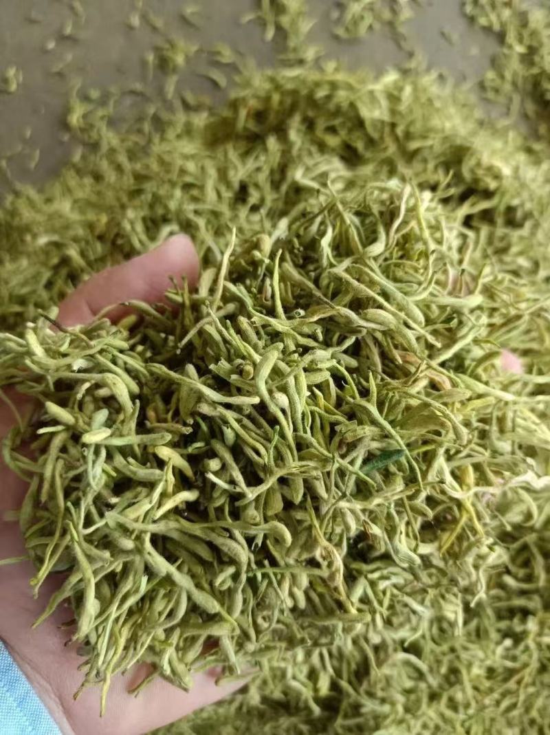 金银花