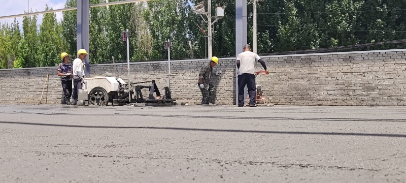 免费大棚招商，提供场地，恒温仓，冷库，帮联系买家