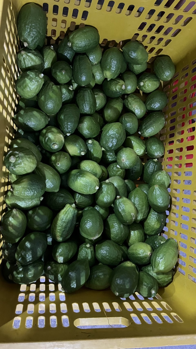 香水柠檬