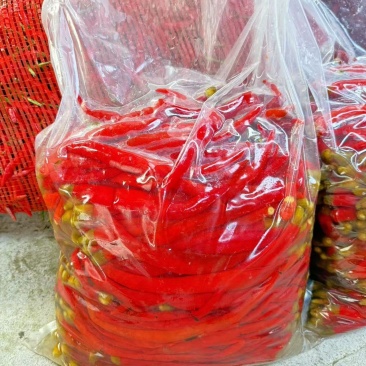 二荆条青红泡椒，泡红小米椒