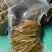 二荆条青红泡椒，泡红小米椒