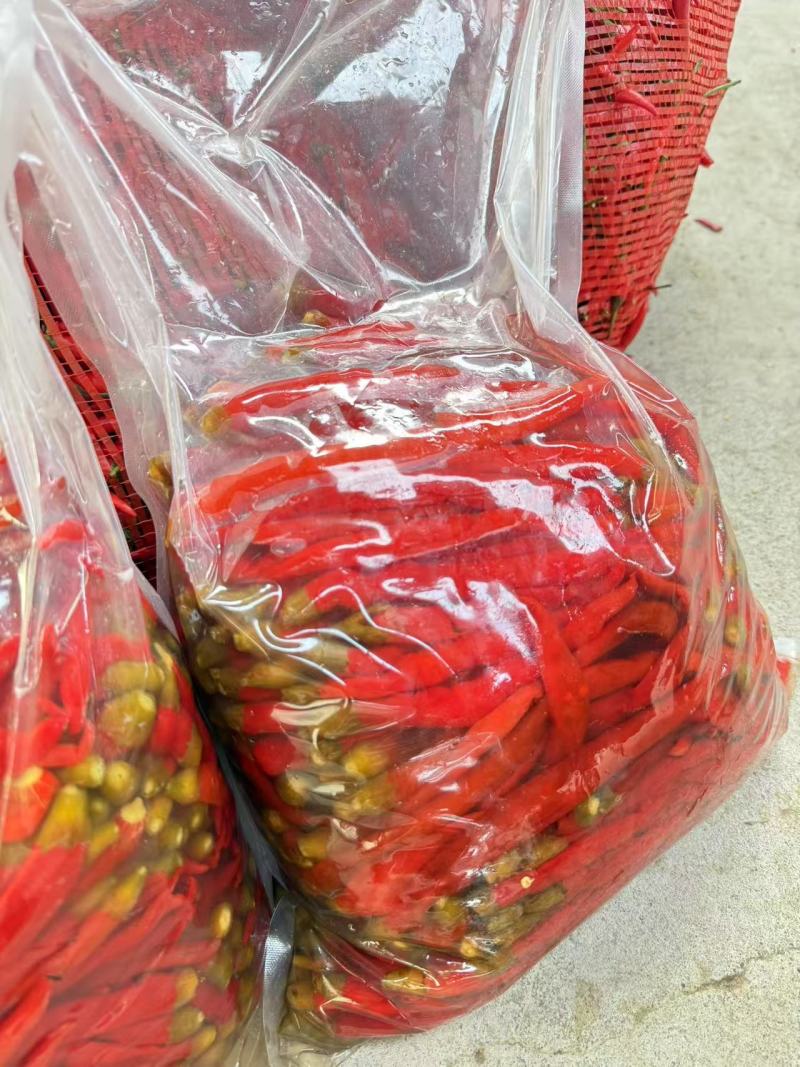 二荆条青红泡椒，泡红小米椒