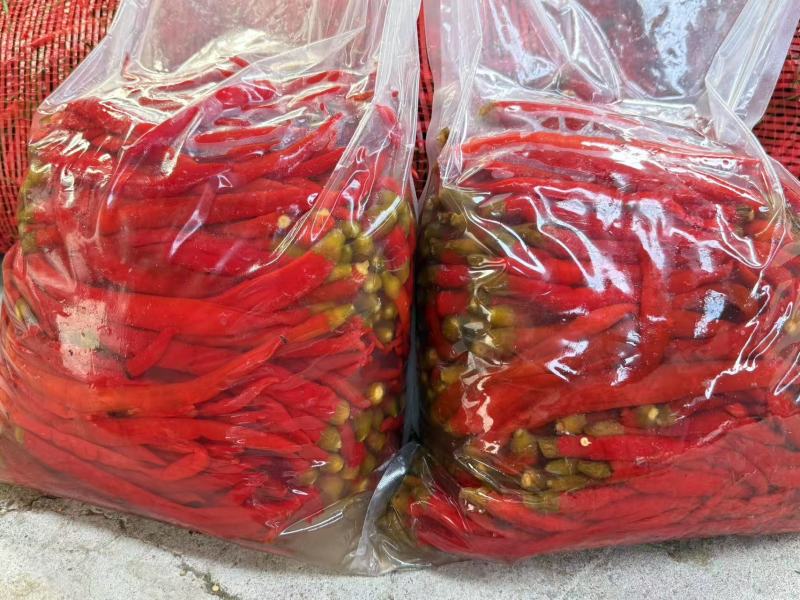 二荆条青红泡椒，泡红小米椒