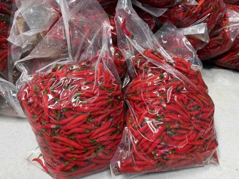 二荆条青红泡椒，泡红小米椒
