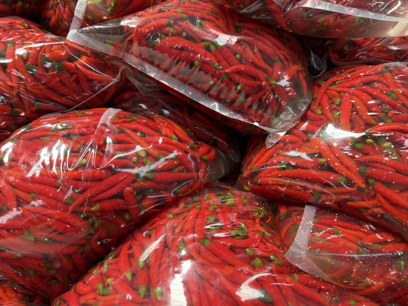 二荆条青红泡椒，泡红小米椒