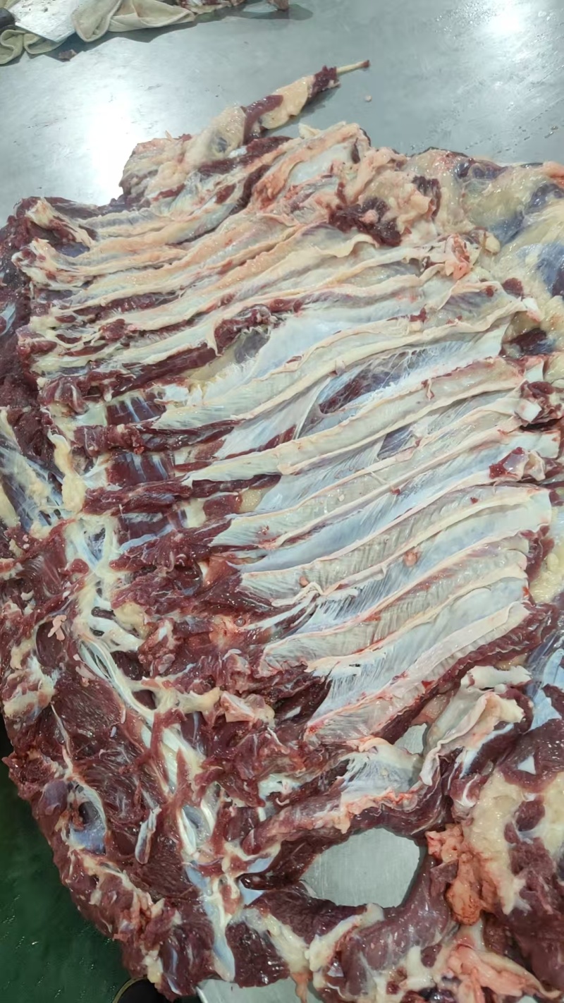 【牛肋条肉】当地草原黄牛的去骨肋排肉！鲜干速冻！六斤一盒