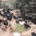 纯粮散养土鸡，喜欢价格可以谈。就是数量不多。