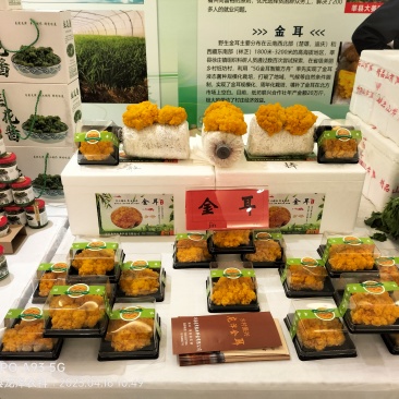 金耳菌量大从优，保质保量，诚信经营致电联系