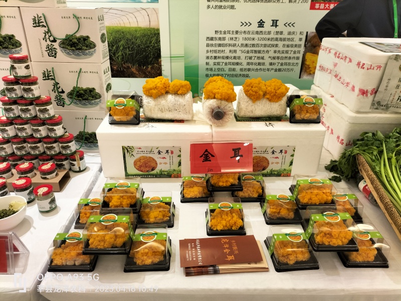 金耳菌量大从优，保质保量，诚信经营致电联系