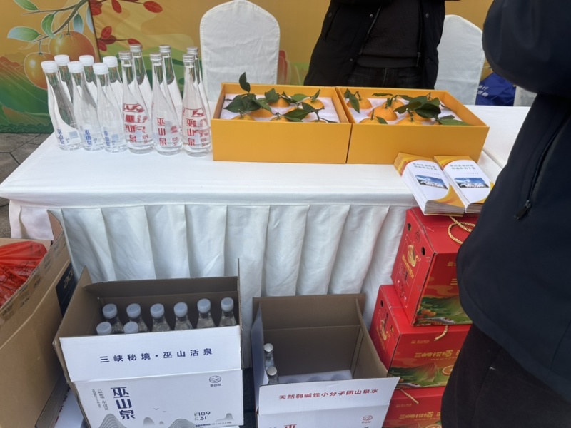 预售巫山纽荷龙回红