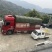 预售巫山纽荷龙回红
