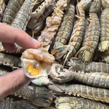 生冻皮皮虾