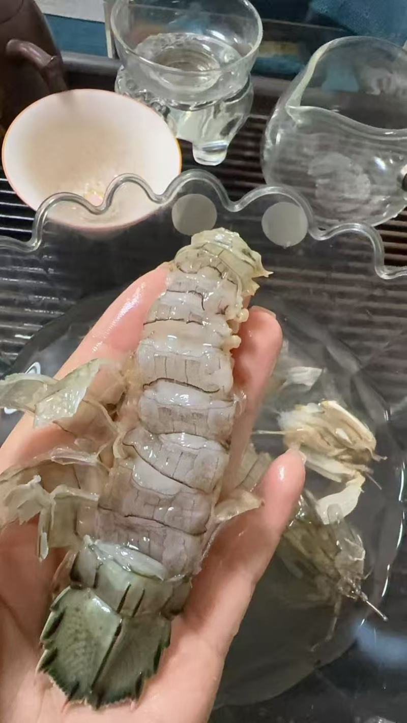 生冻皮皮虾