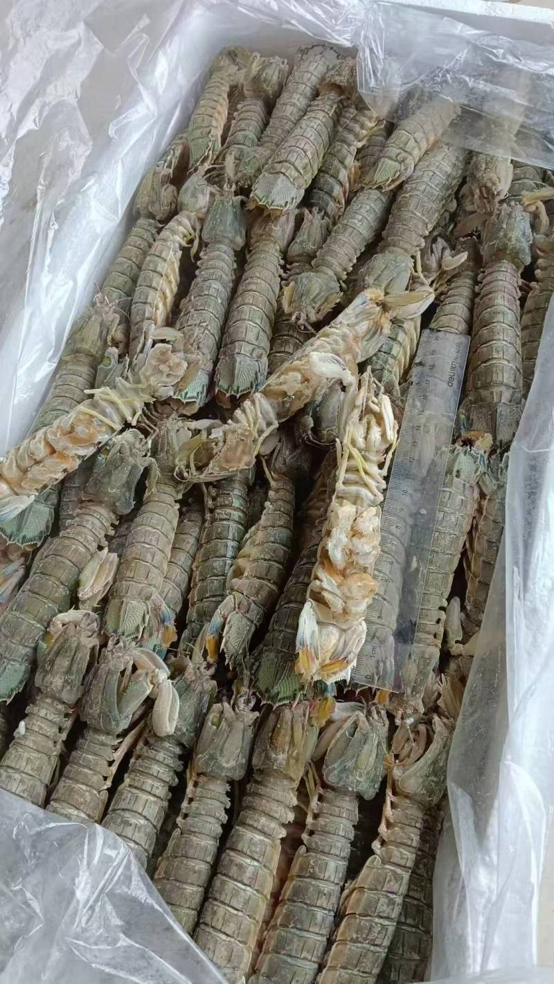 生冻皮皮虾