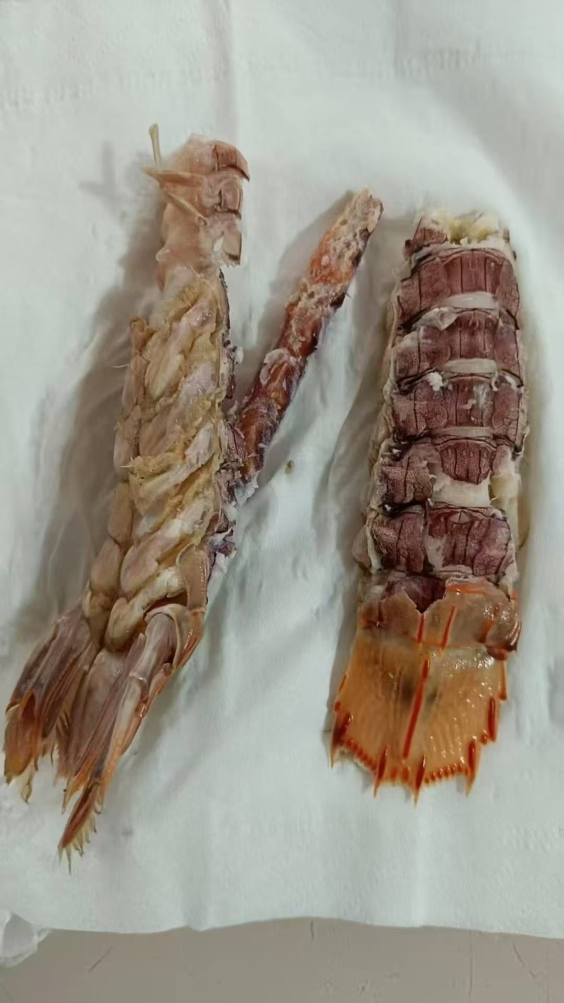 生冻皮皮虾