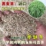 黑麦草种子厂家发货一手货源批发品质保证价格便宜欢迎咨询