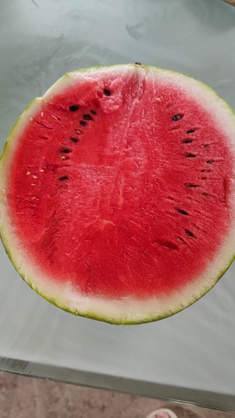 美都西瓜精品美都皮薄肉厚保熟保甜质量保证
