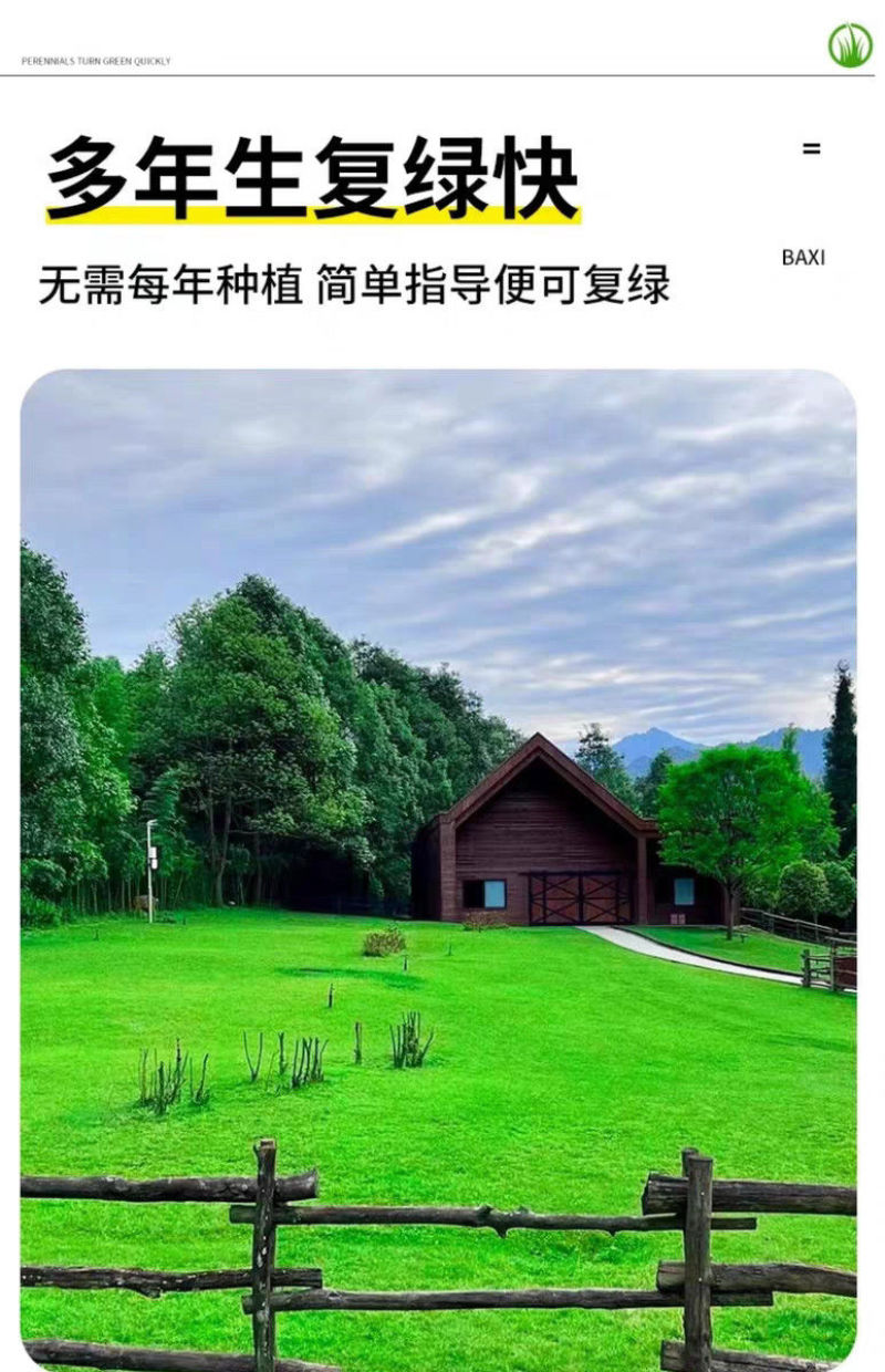 剪股颖种子厂家一手货源批发品质保证价格便宜欢迎咨询