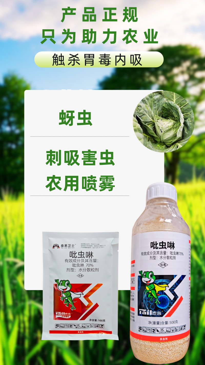 70%吡虫啉高含量杀螨剂刺吸害虫内吸触杀蚜虫杀虫剂