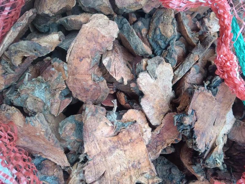 土茯苓贵州野生红肉土茯苓白肉土茯苓鲜货干货视频看货