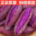 正宗沙地紫薯新鲜现挖软糯香甜细腻无丝一件代发全国包邮