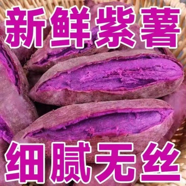 正宗沙地紫薯新鲜现挖软糯香甜细腻无丝一件代发全国包邮
