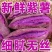正宗沙地紫薯新鲜现挖软糯香甜细腻无丝一件代发全国包邮