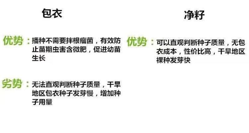 红三叶白三叶种子厂家发货一手货源批发质量保证价格便宜