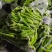 【腌辣椒】杭椒/小米椒各类泡椒酱腌菜全年有货