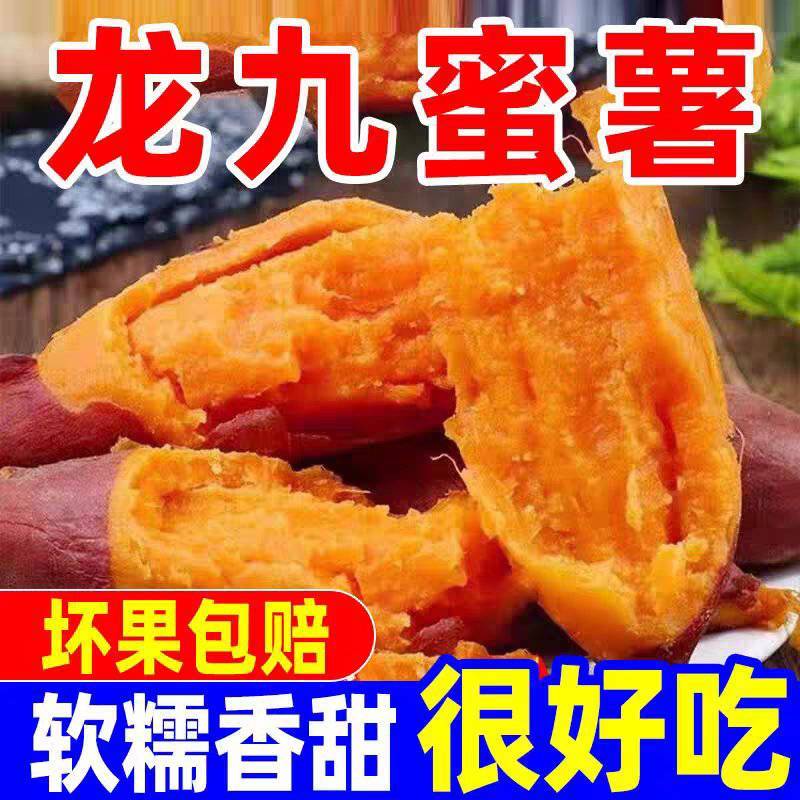 龙九红薯软糯香甜新鲜现挖现发品质保证承接各大电商一件代发