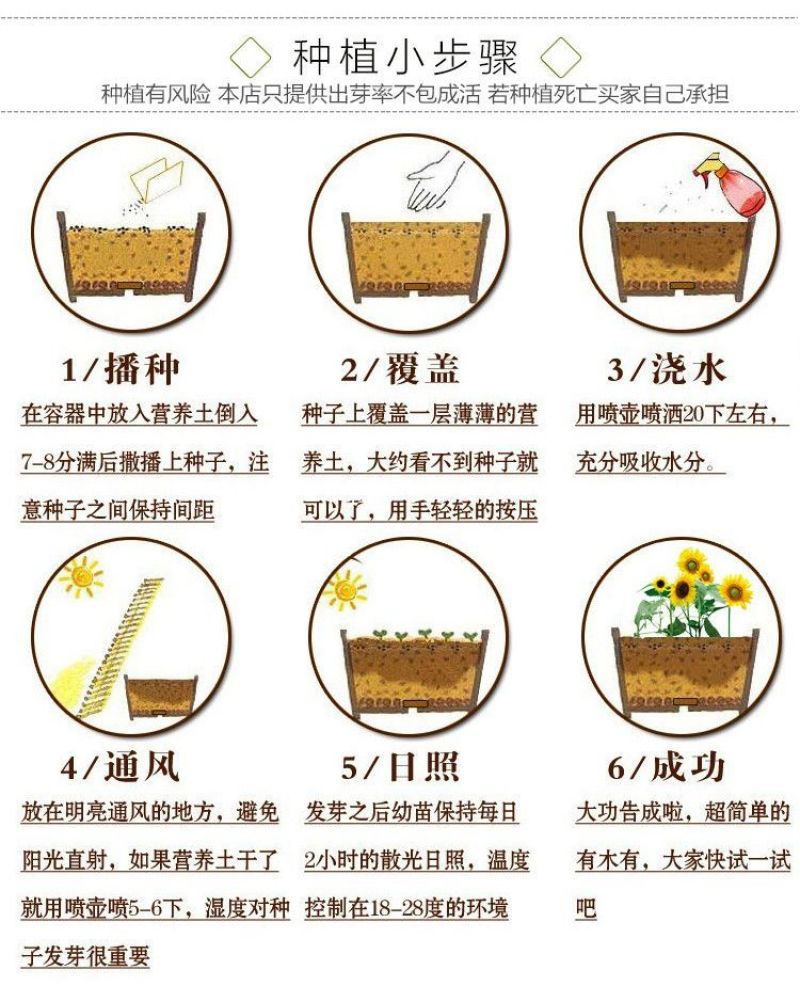马蹄金种子厂家发货一手货源批发质量保证价格美丽欢迎下单