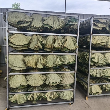 干荷叶出售