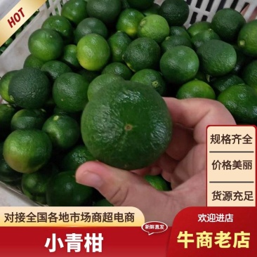 湖北小青柑个头匀称，果面干净，产地一手货源大量有货