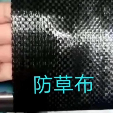 防草布除草布定制除草布厂家直销除草布打孔除草布