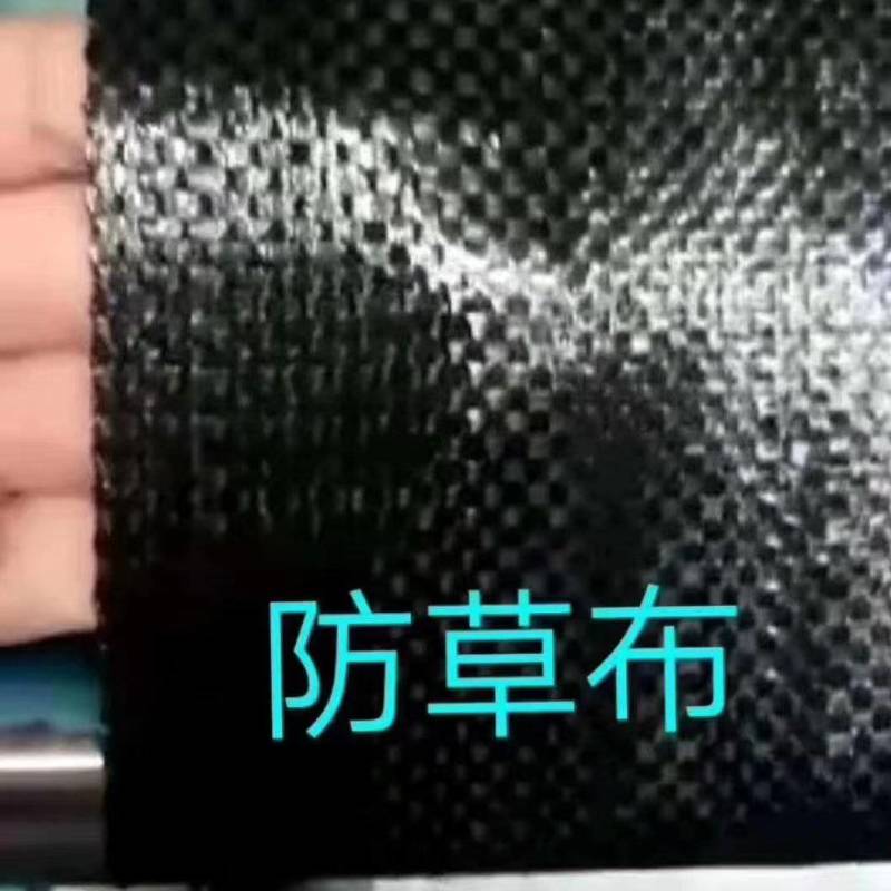 防草布除草布定制除草布厂家直销除草布打孔除草布